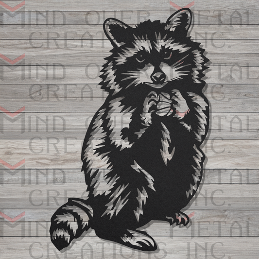 Raccoon